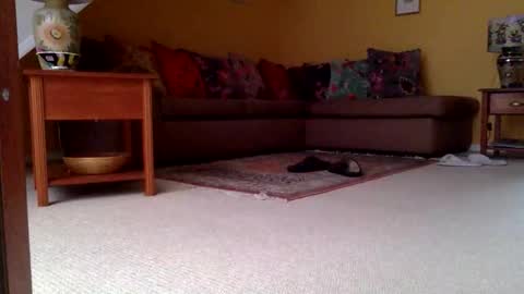 Snapshot of cumonherguys chatting on November 2025 08:04:01 AM cumonherguys online show from November 2025 08:04:01 AM