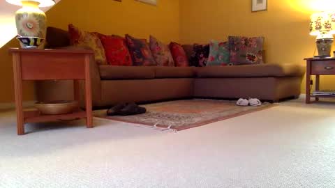 Snapshot of cumonherguys chatting on November 2025 08:25:02 AM cumonherguys online show from November 2025 08:25:02 AM