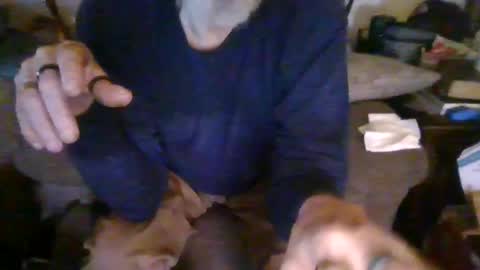 cunnibob online show from March 2025 01:58:01 AM