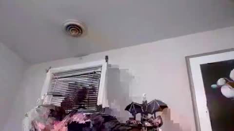 Bash online show from October 2025 11:50:01 PM