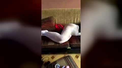 Erics couple online show from August 2026 03:06:01 AM