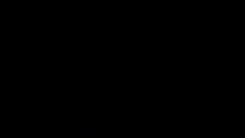 curiousnomad_dmv online show from March 2026 06:18:02 AM