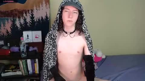 Snapshot of curlyytwink chatting on December 2024 04:02:02 PM Noah online show from December 2024 04:02:02 PM