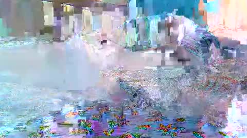 Snapshot of cute_savanna chatting on February 2026 08:19:01 AM cute_savanna online show from February 2026 08:19:01 AM