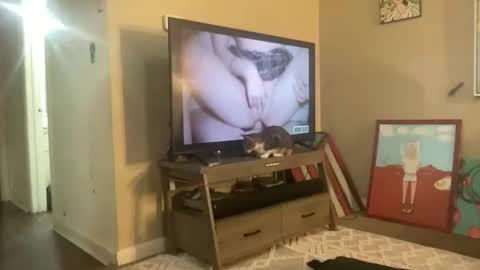 CuteUwUboytoy online show from March 2026 08:17:01 AM