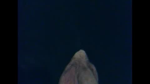 CutieBoy online show from October 2025 01:33:02 AM