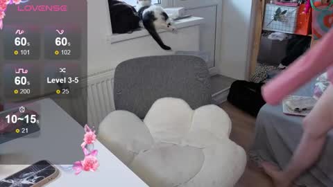 Alice  online show from October 2025 10:04:01 AM