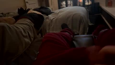 d12be1 online show from February 2026 10:03:02 AM