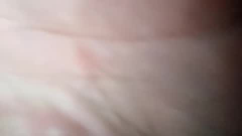 d702261 online show from November 2025 01:55:02 PM