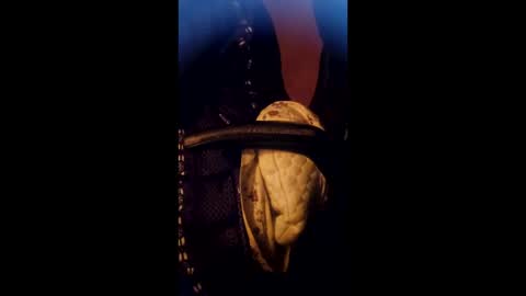 Snapshot of daddett chatting on March 2026 05:22:02 AM Daddett iS Wett online show from March 2026 05:22:02 AM