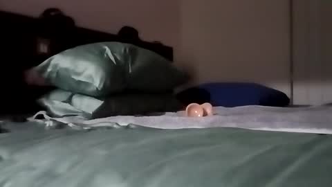 Snapshot of daddy69sx77 chatting on February 2026 04:54:02 PM Kasey Xdresser online show from February 2026 04:54:02 PM