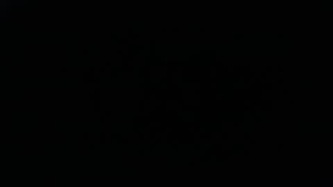 DDick online show from November 2025 08:20:01 AM