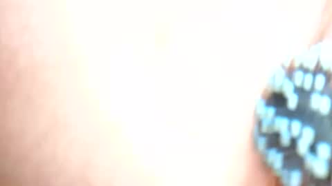 daddydigbick87 online show from October 2025 08:16:02 AM