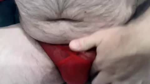 Van online show from January 2025 02:29:02 PM