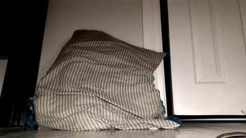 Snapshot of daddyplumber1 chatting on December 2025 05:14:02 AM daddyplumber1 online show from December 2025 05:14:02 AM