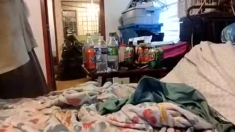 Daddyshome4115 online show from December 2025 09:20:01 PM