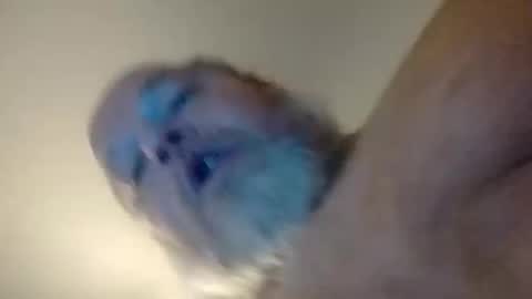 Daddyshome4115 online show from December 2025 06:42:02 AM