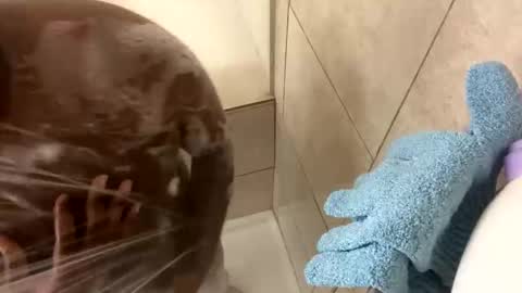 Snapshot of dafoxxx876 chatting on November 2025 08:03:02 AM dafoxxx876 online show from November 2025 08:03:02 AM