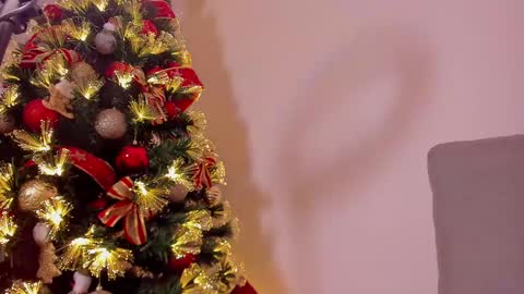 Snapshot of dahliabrowniee chatting on December 2024 10:06:02 AM Dahli online show from December 2024 10:06:02 AM