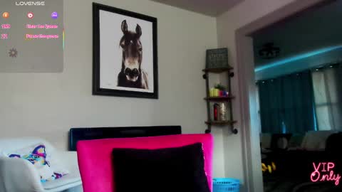 Snapshot of daisy_dove chatting on March 2026 01:00:01 PM Daisy online show from March 2026 01:00:01 PM