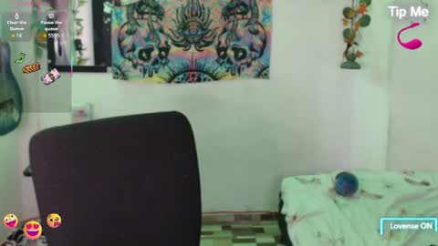Dakko online show from July 2026 07:21:01 AM