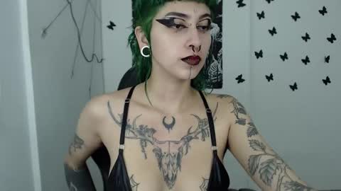 dakota online show from December 2024 02:52:01 AM