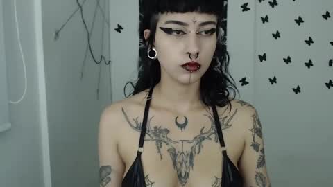 dakota online show from January 2025 04:18:02 AM