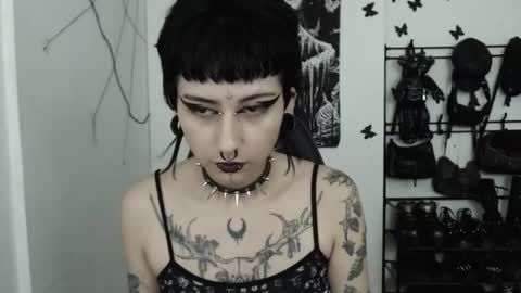 dakota online show from November 2025 04:33:02 AM