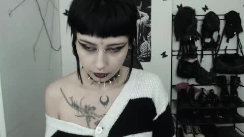 Snapshot of dakota_krall_ chatting on December 2025 04:08:01 AM dakota online show from December 2025 04:08:01 AM