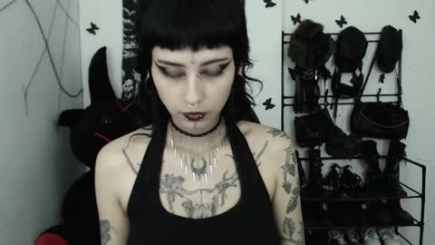 Snapshot of dakota_krall_ chatting on February 2026 11:36:02 PM dakota online show from February 2026 11:36:02 PM