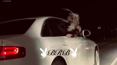 dakotaajohnnson online show from October 2025 11:32:02 AM