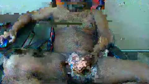 Snapshot of dallas13531 chatting on February 2025 05:19:02 AM dallas13531 online show from February 2025 05:19:02 AM