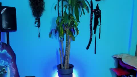 Snapshot of damian_torner chatting on October 2025 07:56:01 AM Damian torner online show from October 2025 07:56:01 AM