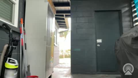 Clyde online show from November 2025 06:28:02 PM