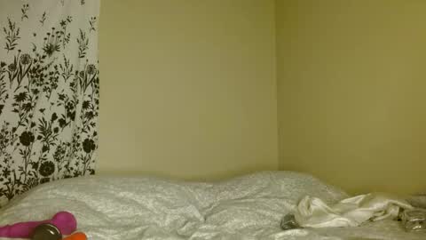 Snapshot of damnnova1 chatting on April 2026 07:41:01 AM Nova online show from April 2026 07:41:01 AM