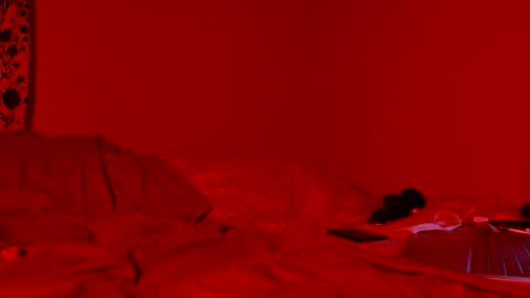 Snapshot of damnnova1 chatting on April 2026 08:18:02 AM Nova online show from April 2026 08:18:02 AM