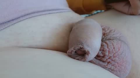 Damocles online show from September 2025 12:16:01 PM