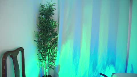 damon_frost online show from June 2026 02:19:01 PM