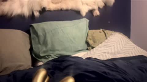 Snapshot of damontsi chatting on February 2026 02:48:01 PM damontsi online show from February 2026 02:48:01 PM