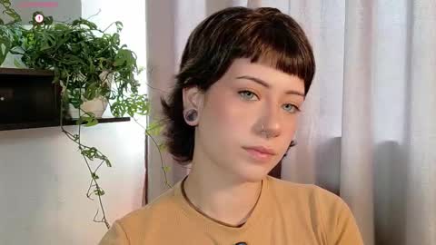 Snapshot of dan_universe chatting on November 2025 06:24:02 PM Bluemoon online show from November 2025 06:24:02 PM