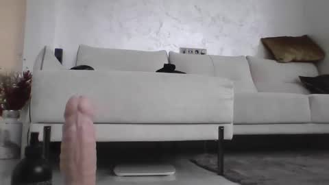 Snapshot of danani999 chatting on January 2025 09:13:01 AM Dan online show from January 2025 09:13:01 AM