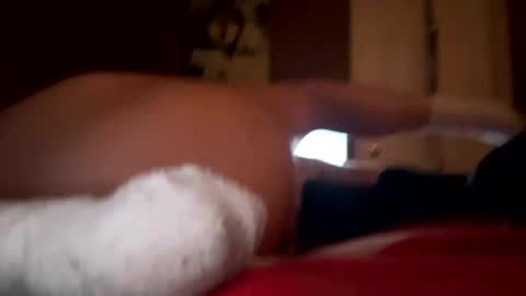 Snapshot of danarchy78 chatting on April 2026 08:31:02 AM danarchy78 online show from April 2026 08:31:02 AM