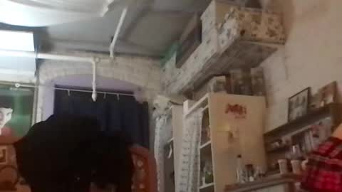 Your submissive patient online show from December 2024 08:12:01 AM