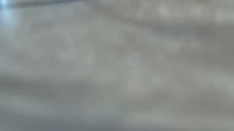 dancewhenyoucan9 online show from December 2025 10:51:03 PM