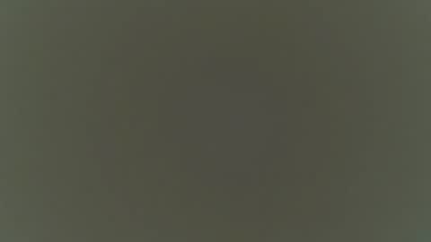 dandee2000 online show from February 2026 10:14:01 AM