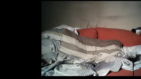 Snapshot of dane1982 chatting on January 2025 04:39:02 PM dane1982 online show from January 2025 04:39:02 PM