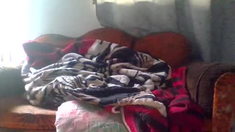 Snapshot of dani9821569006 chatting on March 2026 05:08:01 PM dani9821569006 online show from March 2026 05:08:01 PM