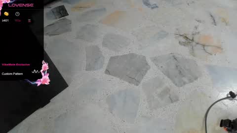 DANI online show from March 2025 02:42:02 PM