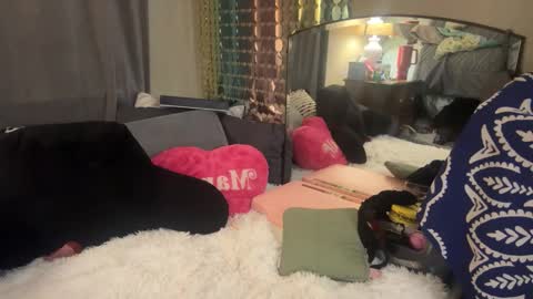 Snapshot of danidragon69 chatting on February 2025 08:32:02 AM Dani Dragon online show from February 2025 08:32:02 AM