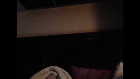 daniellbisous online show from February 2026 09:05:01 AM